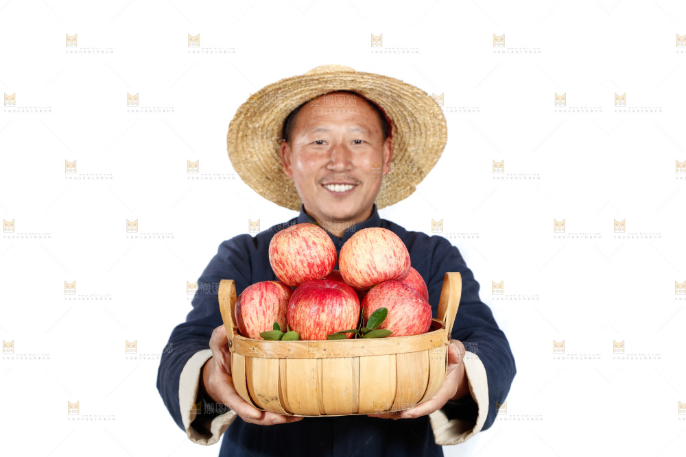 农民手里端着一篮苹果