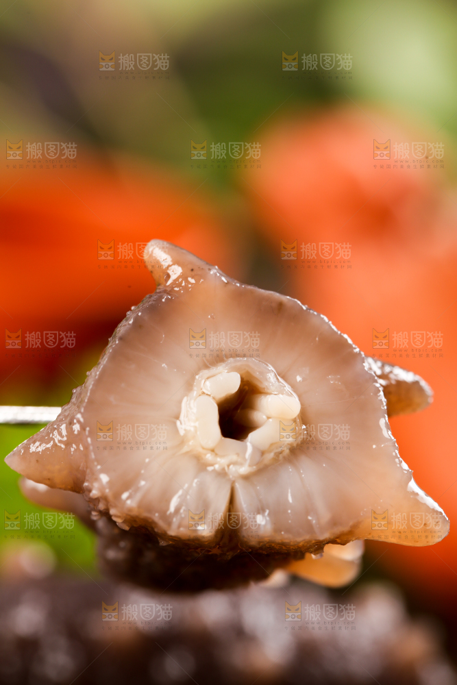 叉子叉着海参