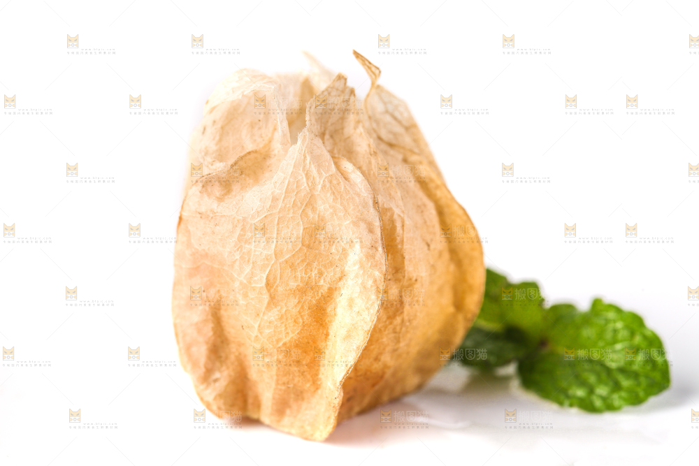 白底上放着灯笼果