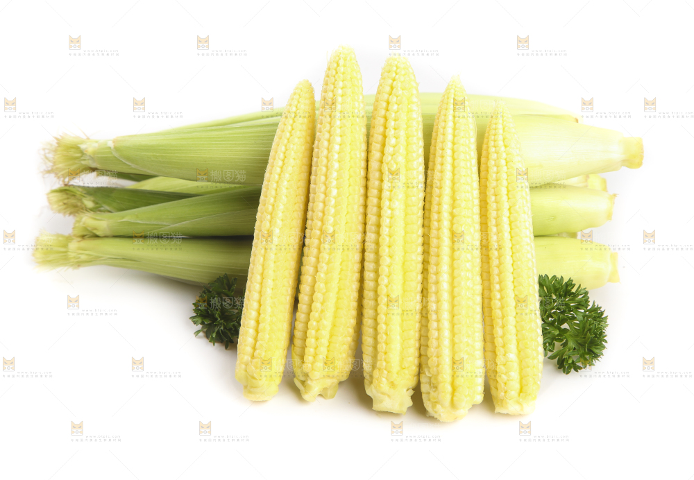 白底上的珍珠笋