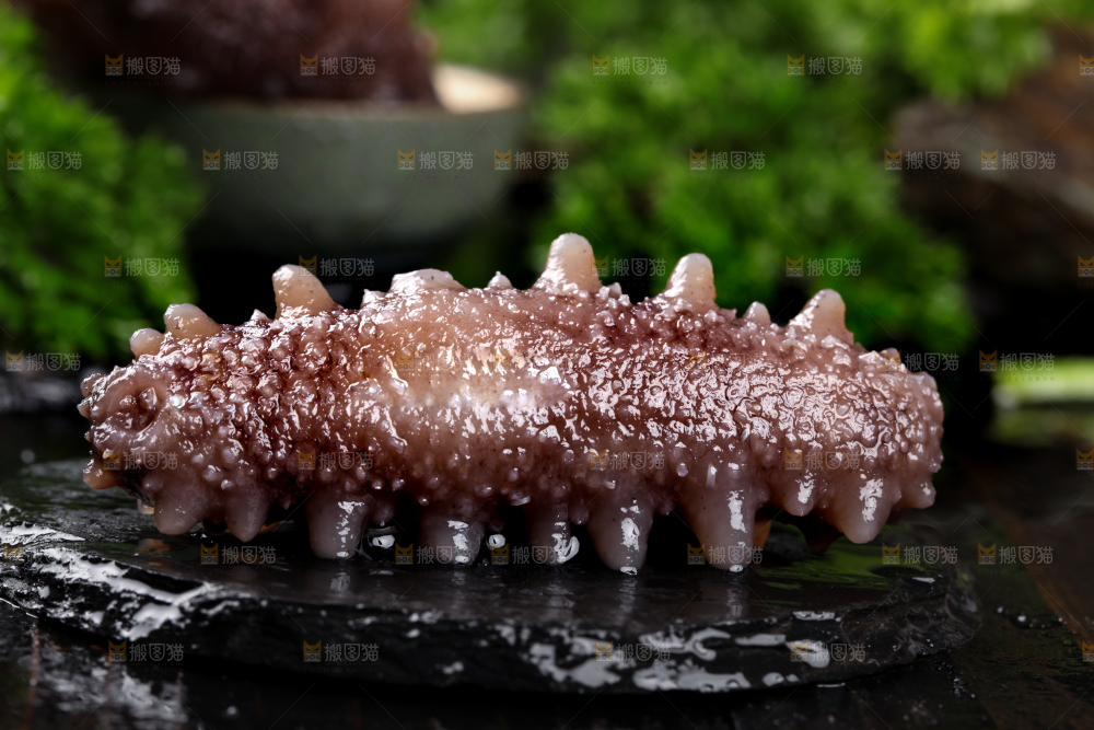 黑石板上的淡干海参