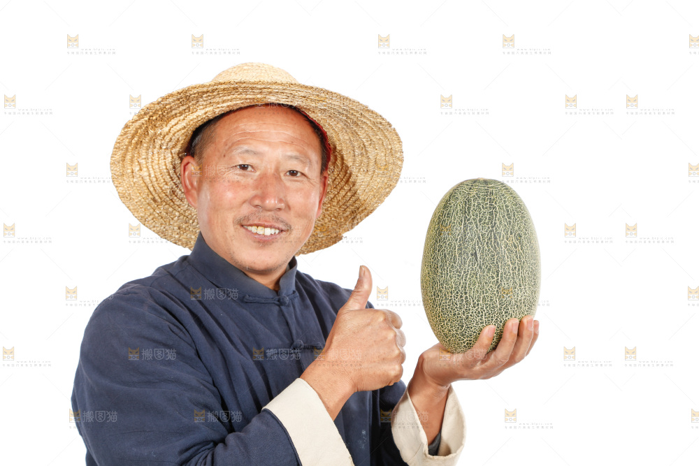 农民手里拿着哈蜜瓜