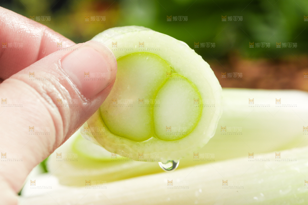 手拿大葱片