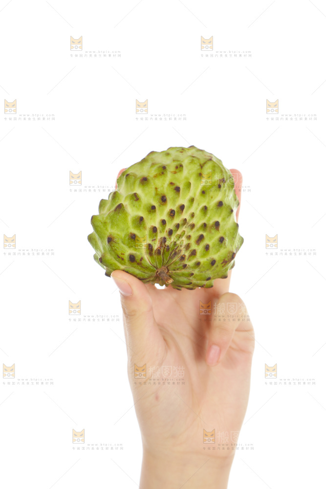 手里拿着释迦果