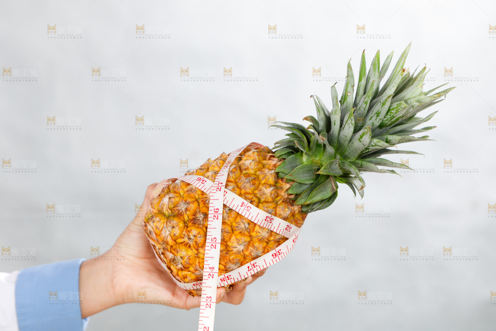 手里正在测量凤梨