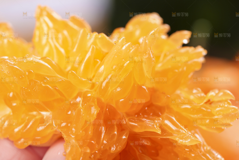 深底上放着四川春见