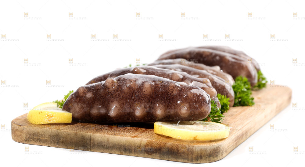 一盘刺参放在白底上