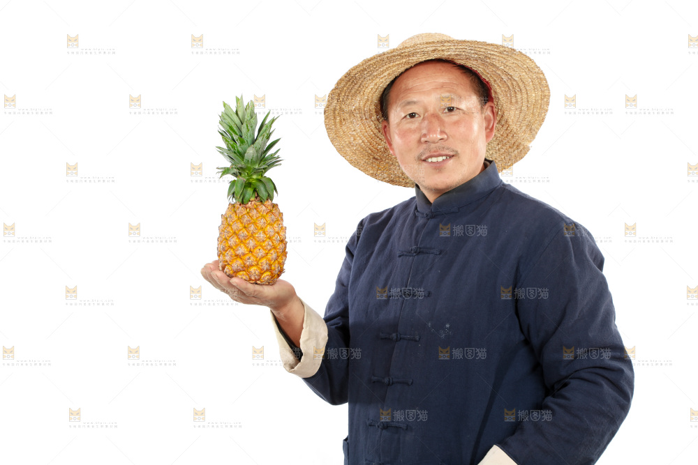 农民手里拿着凤梨
