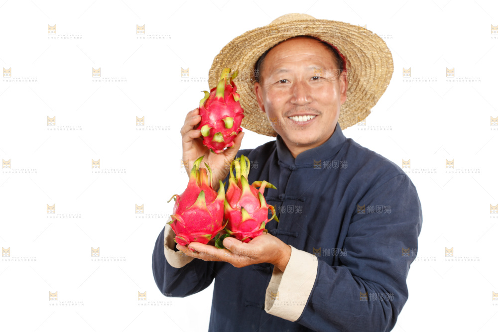 农民手里端着火龙果