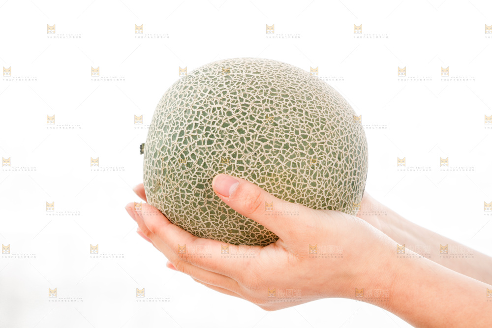 手里捧着哈蜜瓜