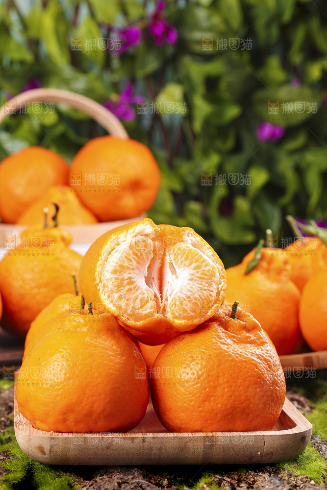 深底上放着四川春见