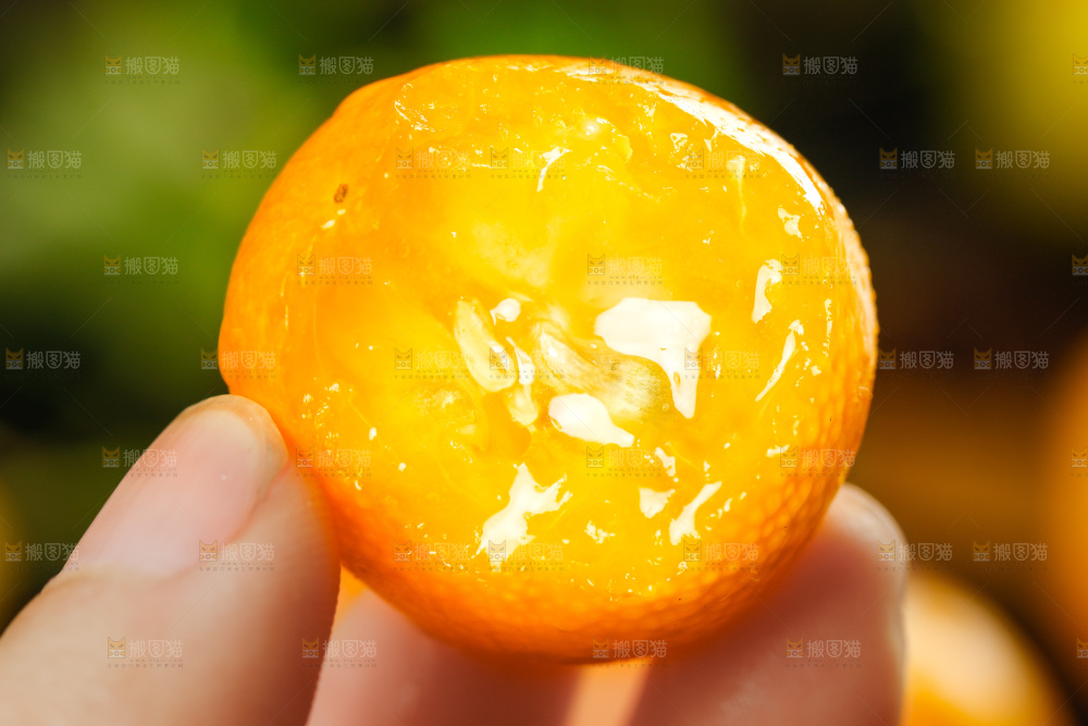 手里拿着小金桔