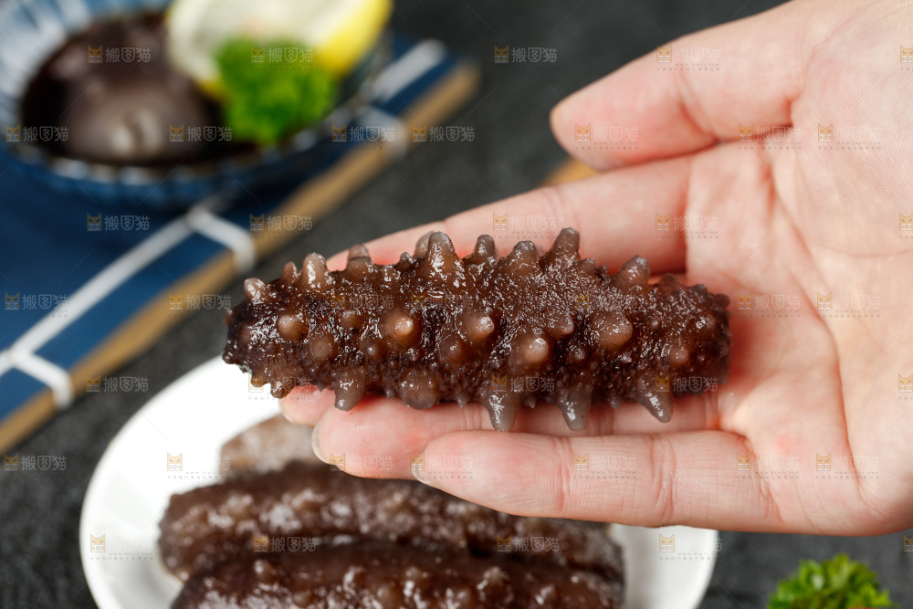 手拿刺参