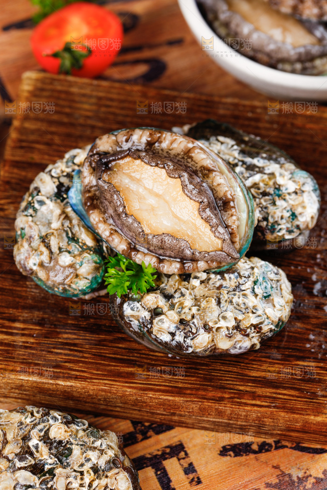 木底上的新鲜大鲍鱼
