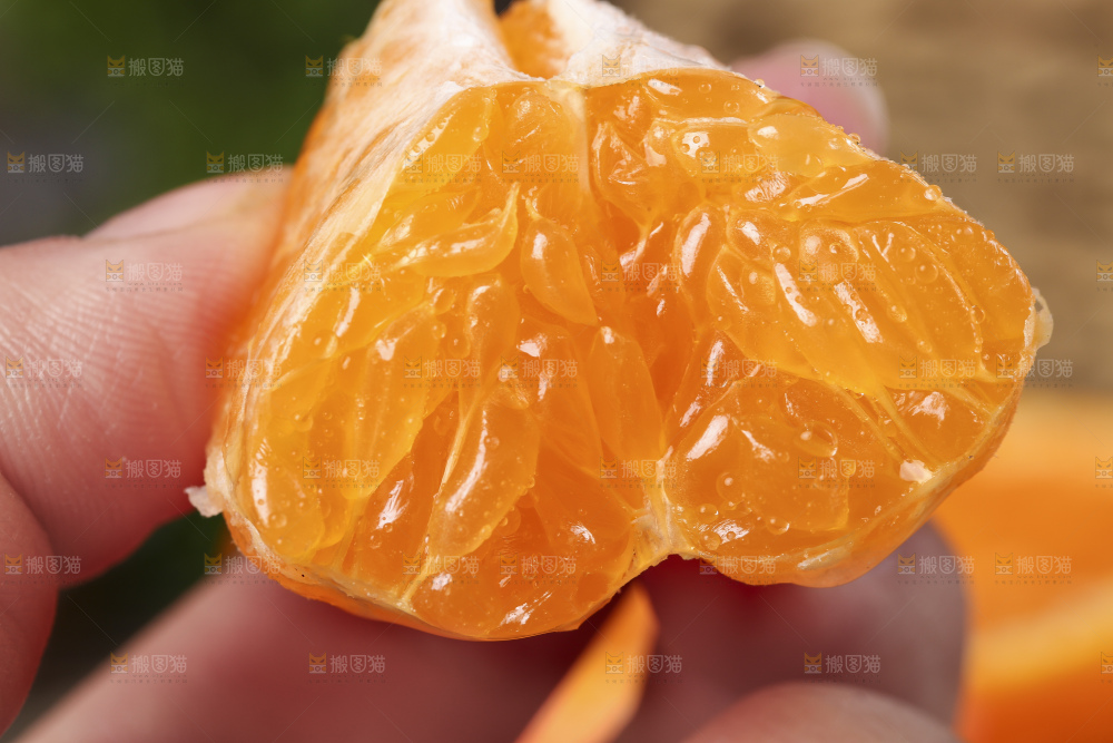 手上拿着春见果肉