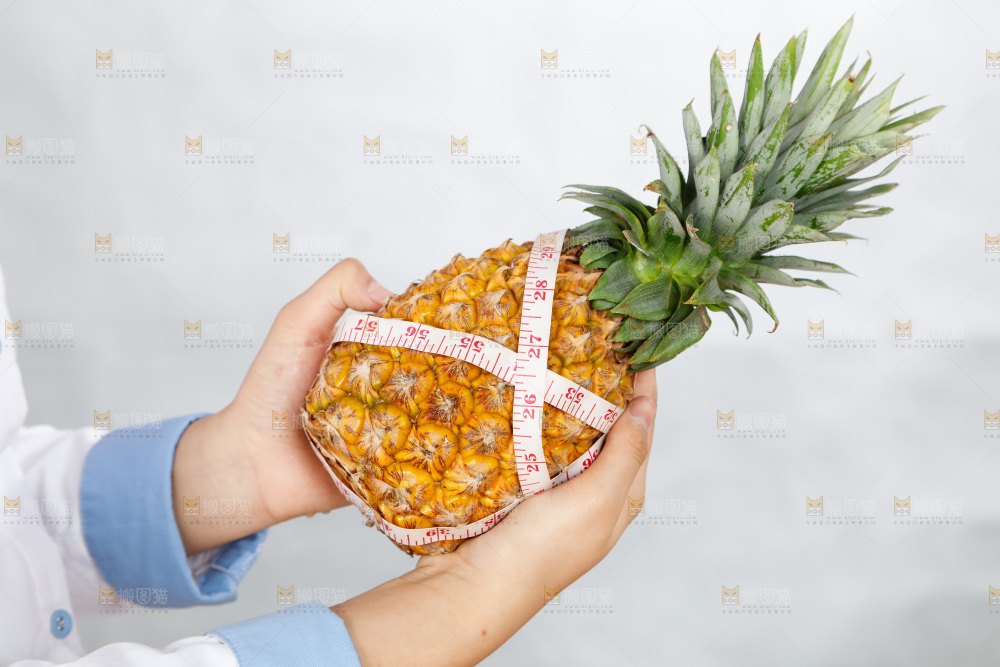 手里正在测量凤梨