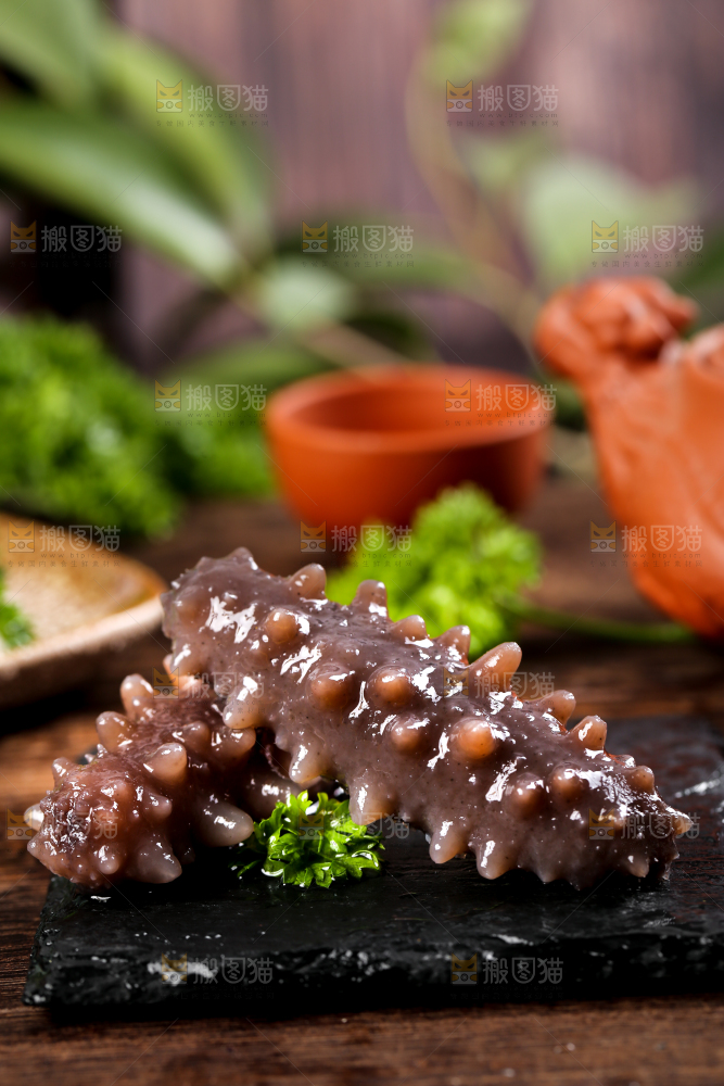 黑石板上的海参