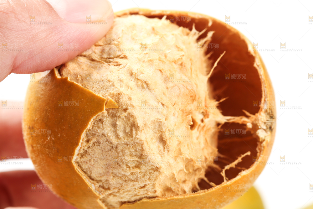 手里拿着罗汉果
