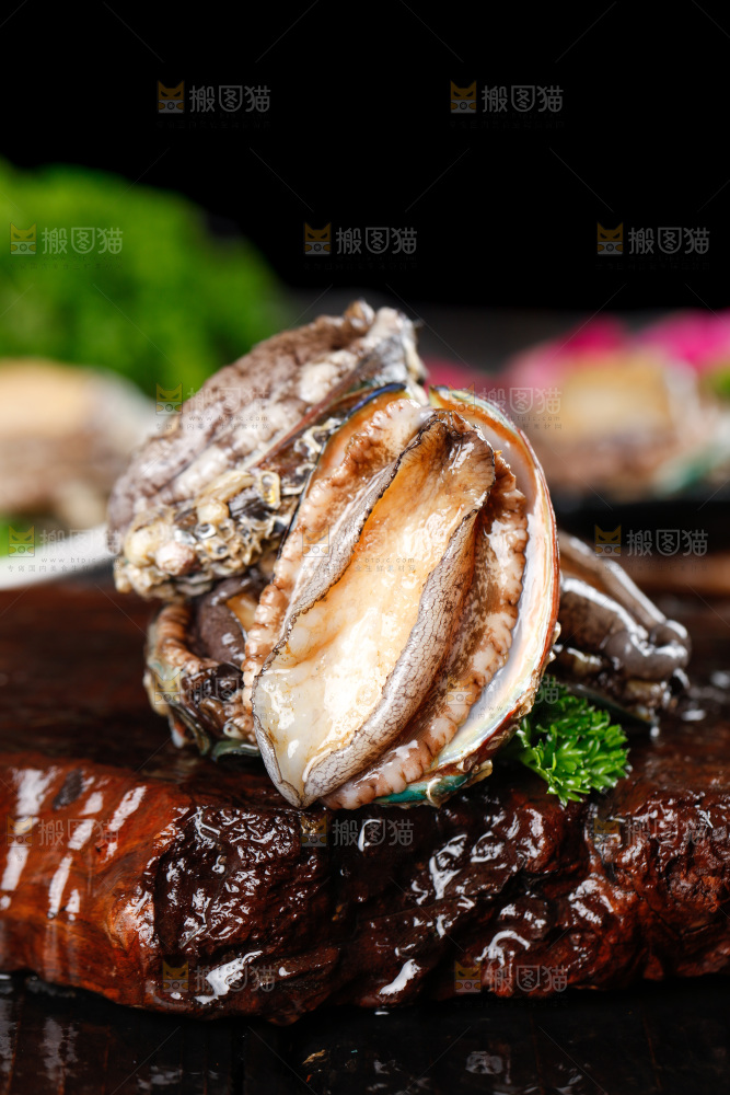 深底上的东山岛鲍鱼