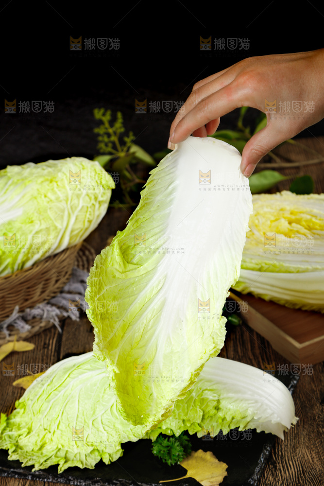 手拿大白菜叶
