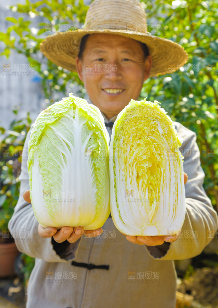 农民手拿大白菜