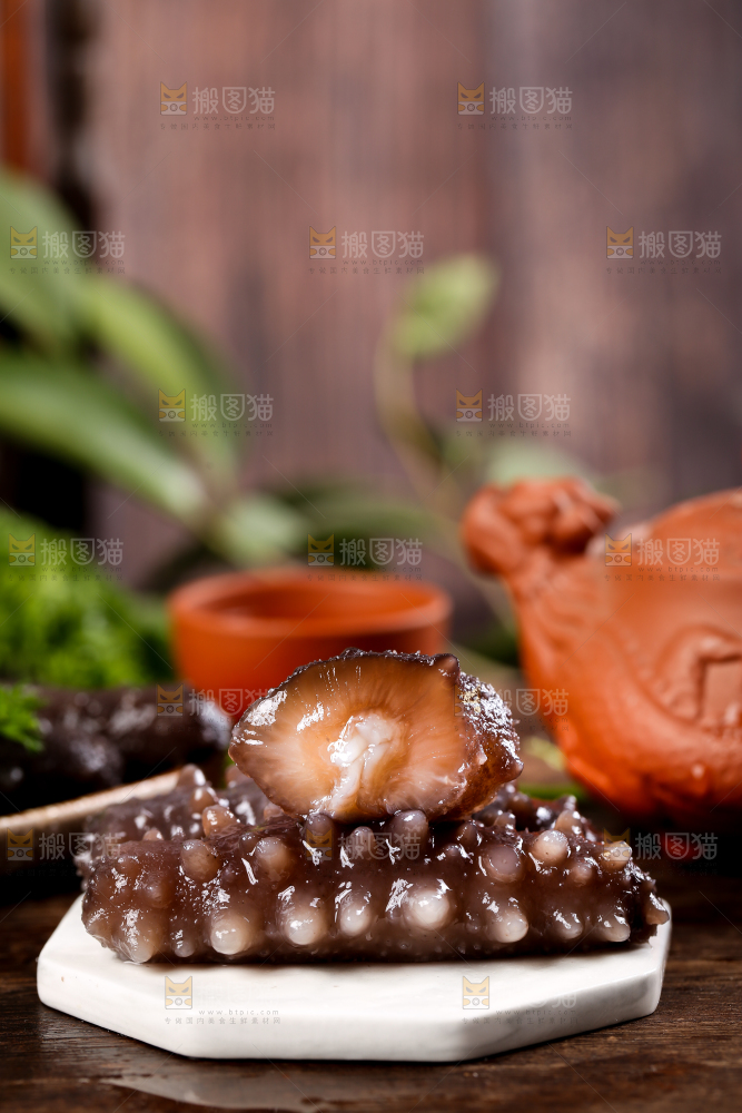 石板上的海参