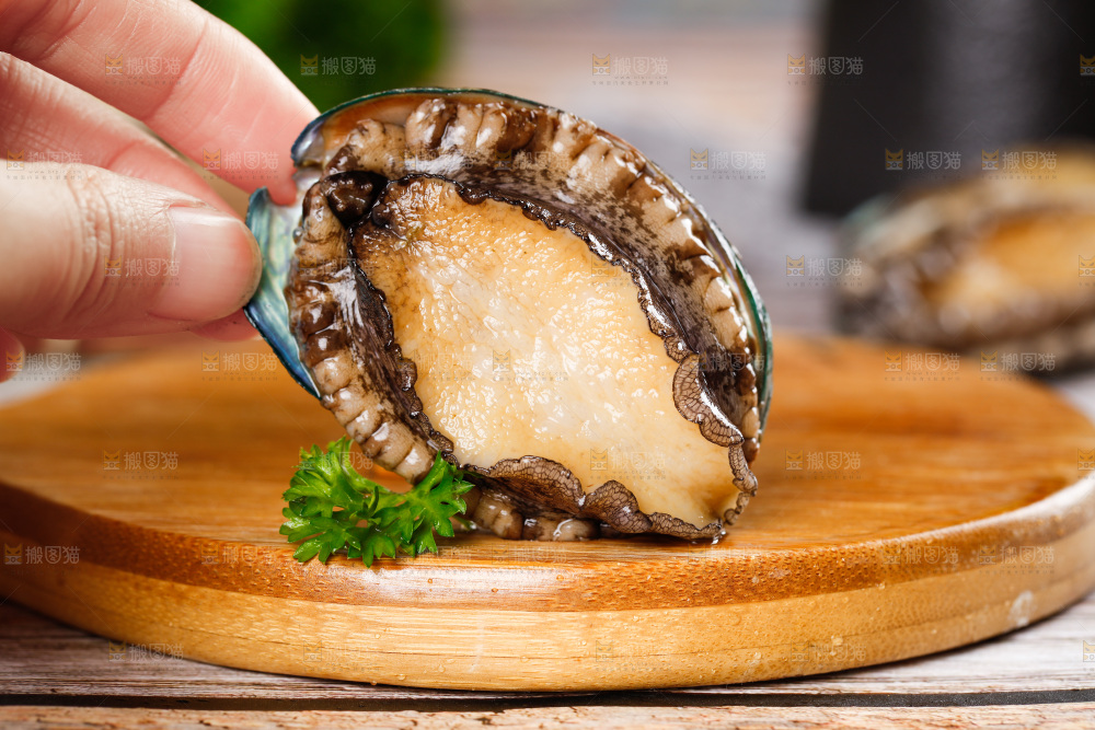 手拿鲍鱼