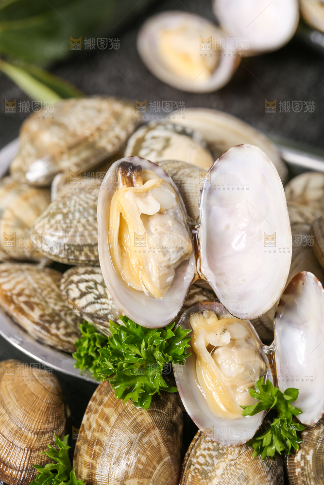 黑底上的花甲