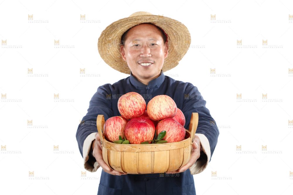 农民手里端着一篮苹果