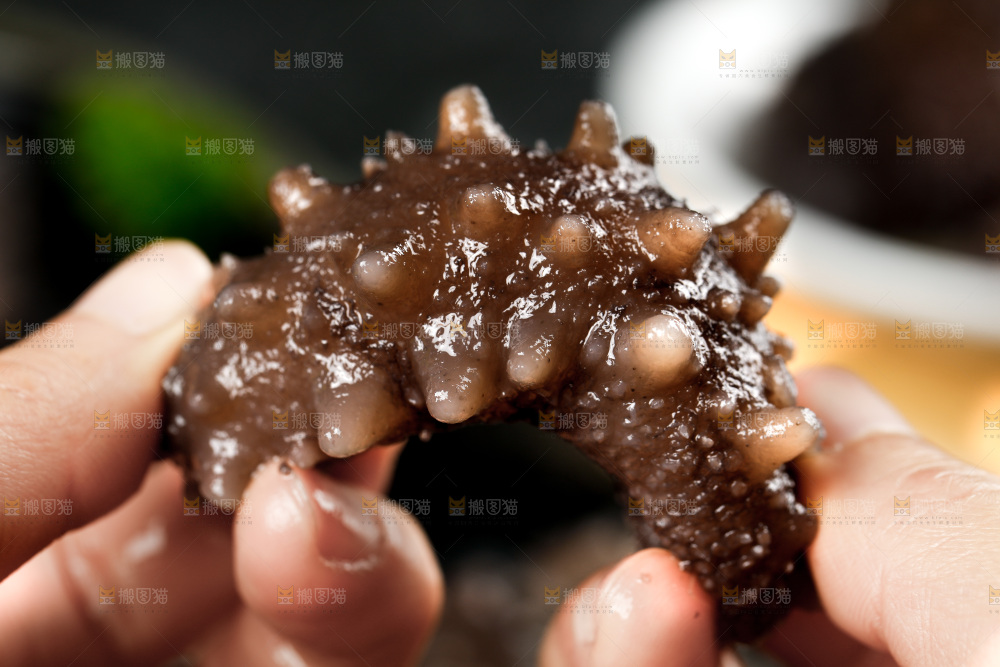 手拿海参