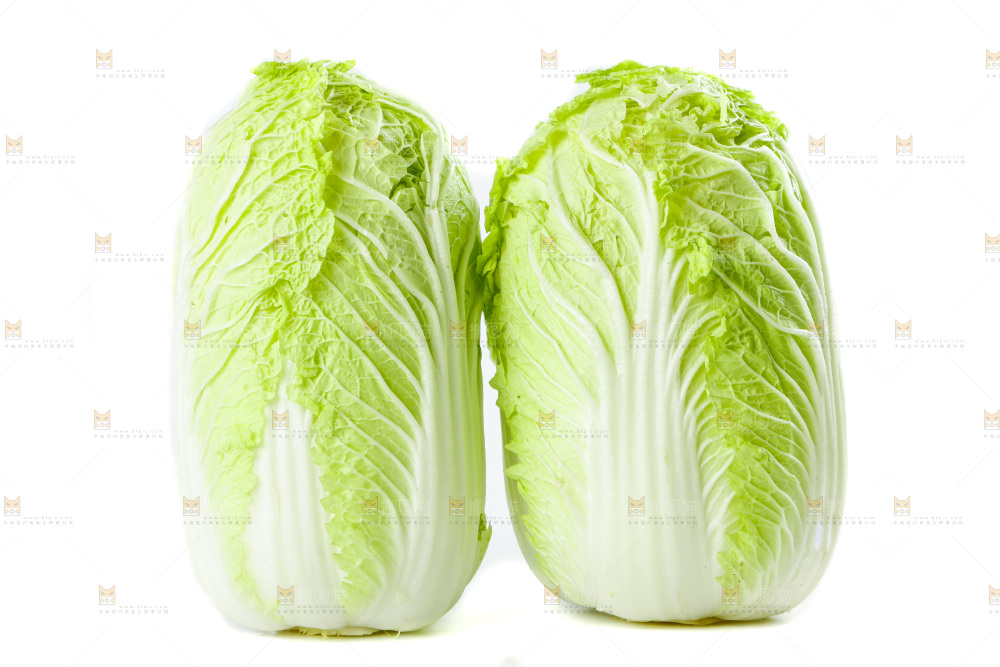白底上的大白菜