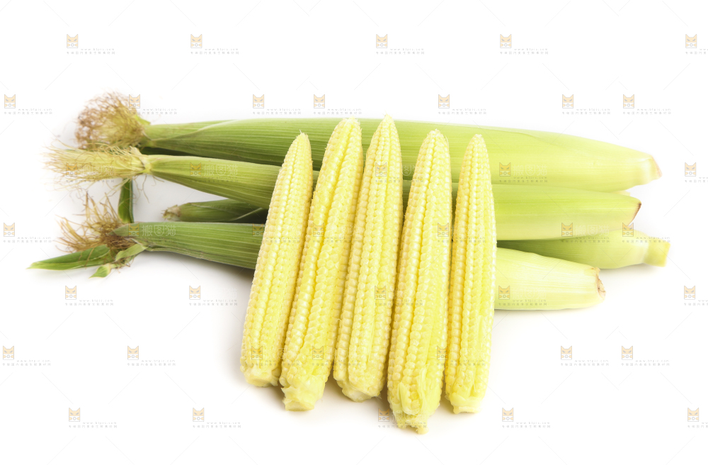 白底上的珍珠笋