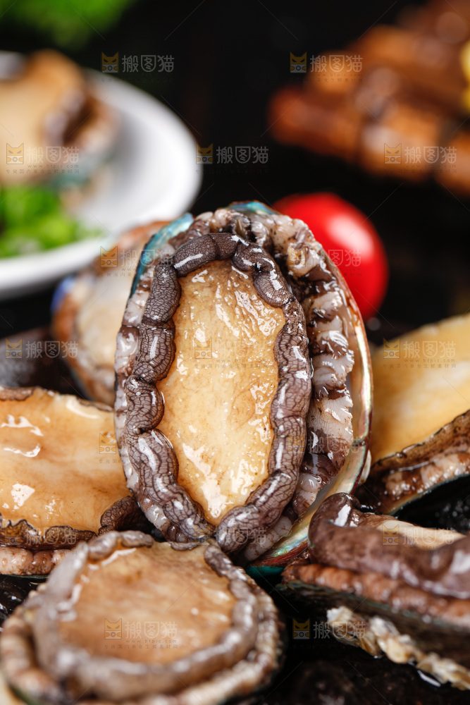 黑底上的鲍鱼