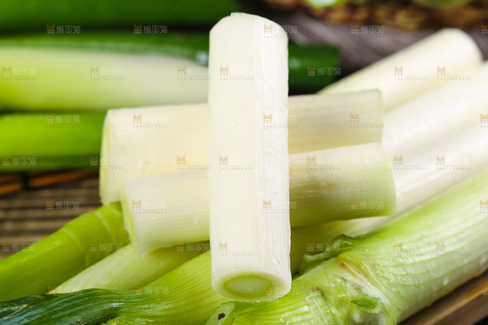 深底上的山东铁杆大葱
