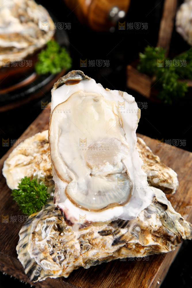 木底上剥开的生蚝