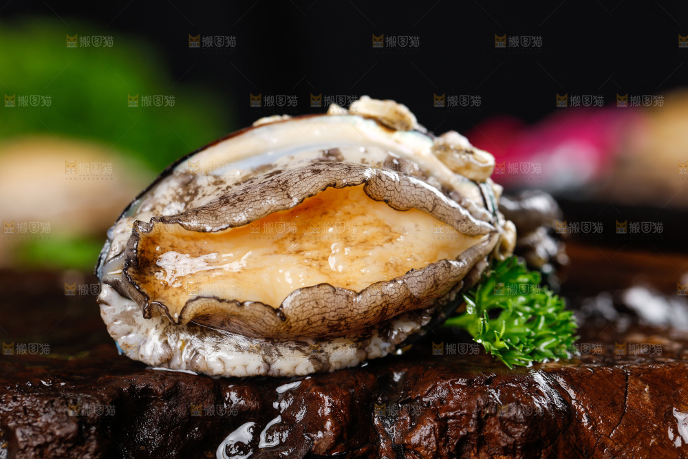 深底上的活冻大鲍鱼
