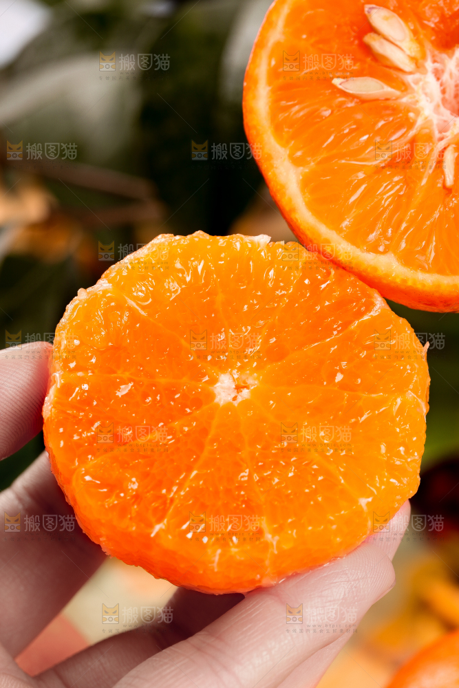 手拿沃柑果肉