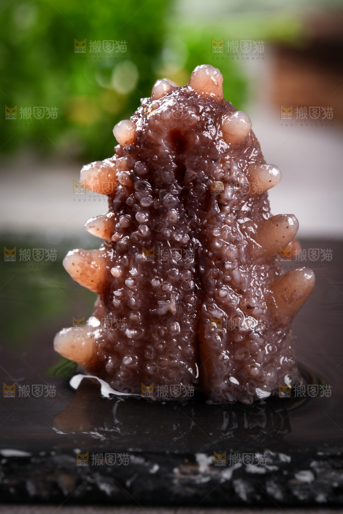 黑石板上的海参