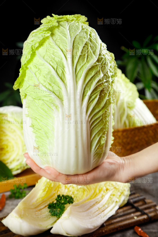 手拿大白菜