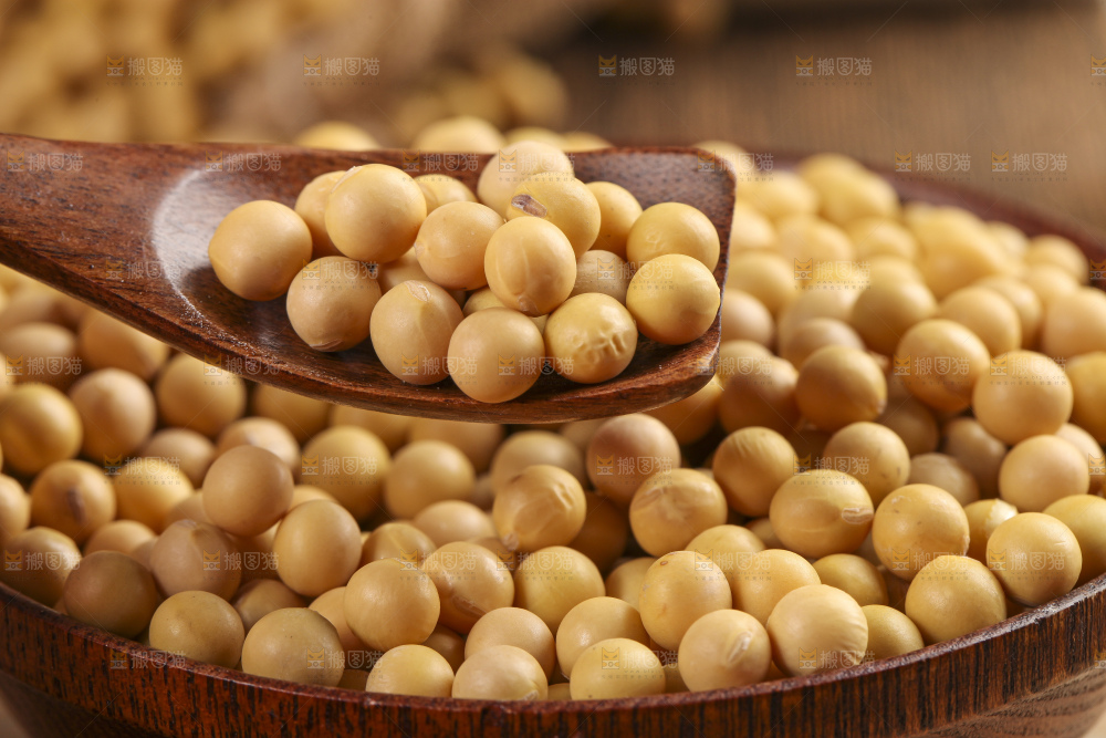 木板上放着一碗黄豆