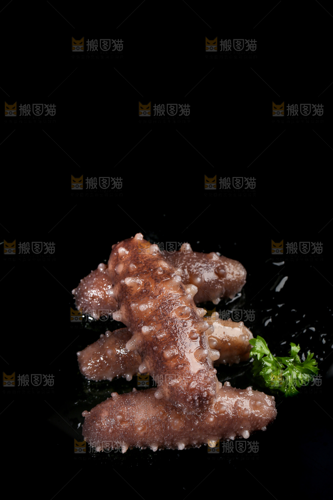 黑底上的海参