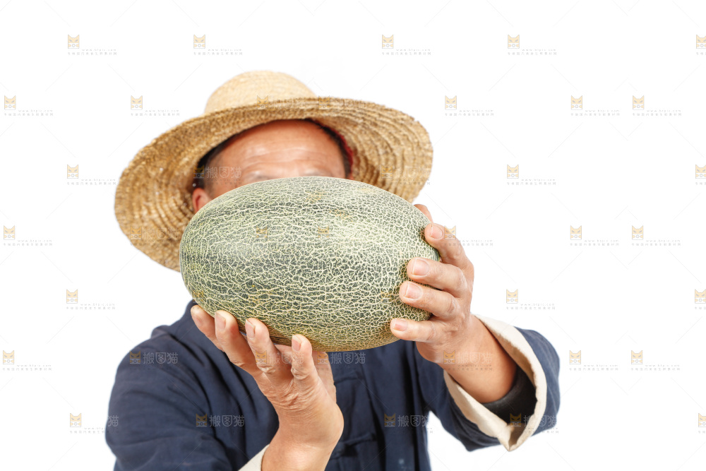 农民手里拿着哈蜜瓜