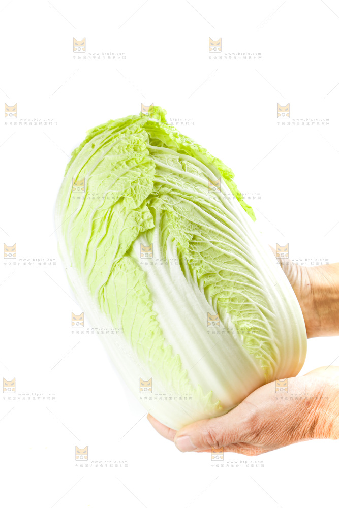 手拿大白菜