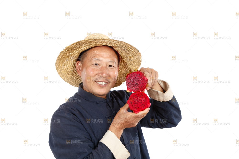 农民手里拿着红心火龙果