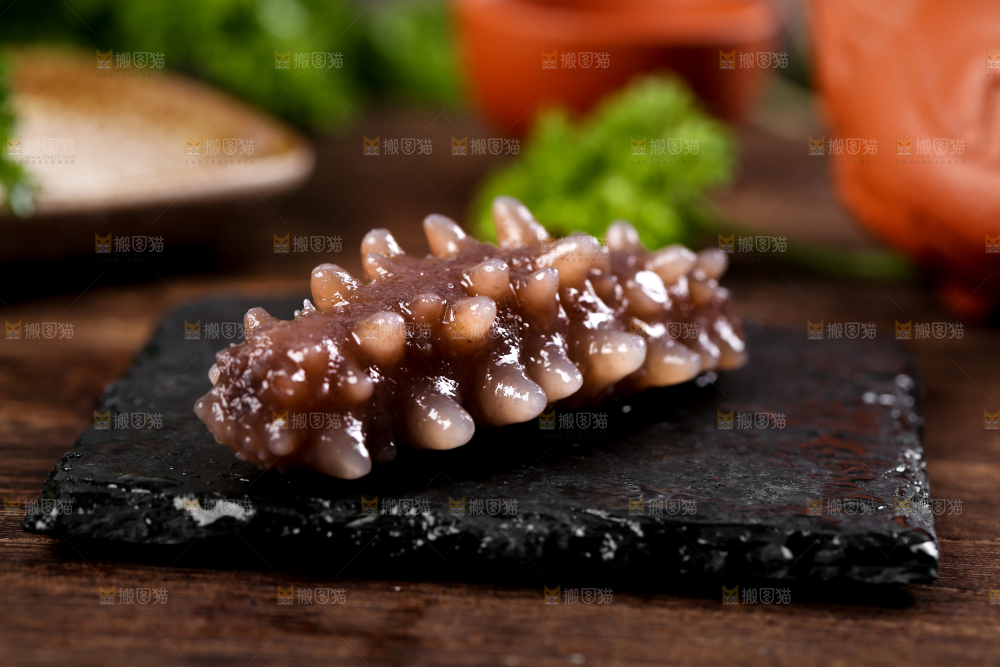 黑石板上的海参