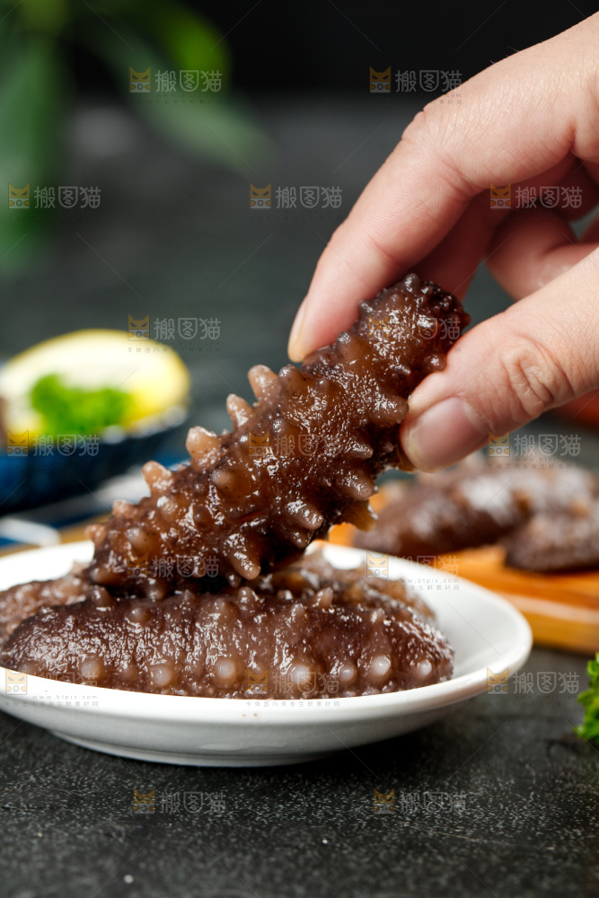 手拿刺参