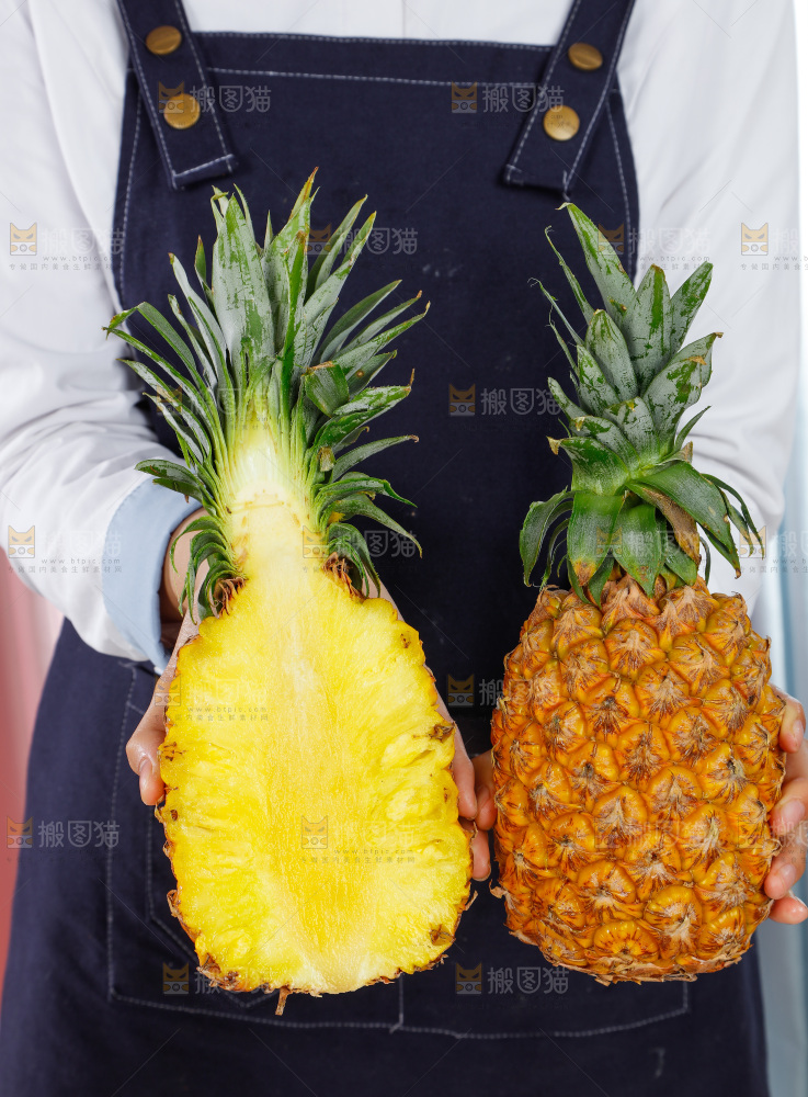 金钻凤梨