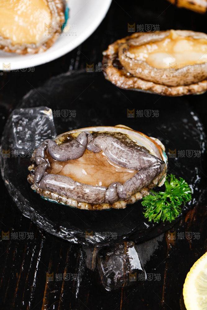 黑石板上的大鲍鱼