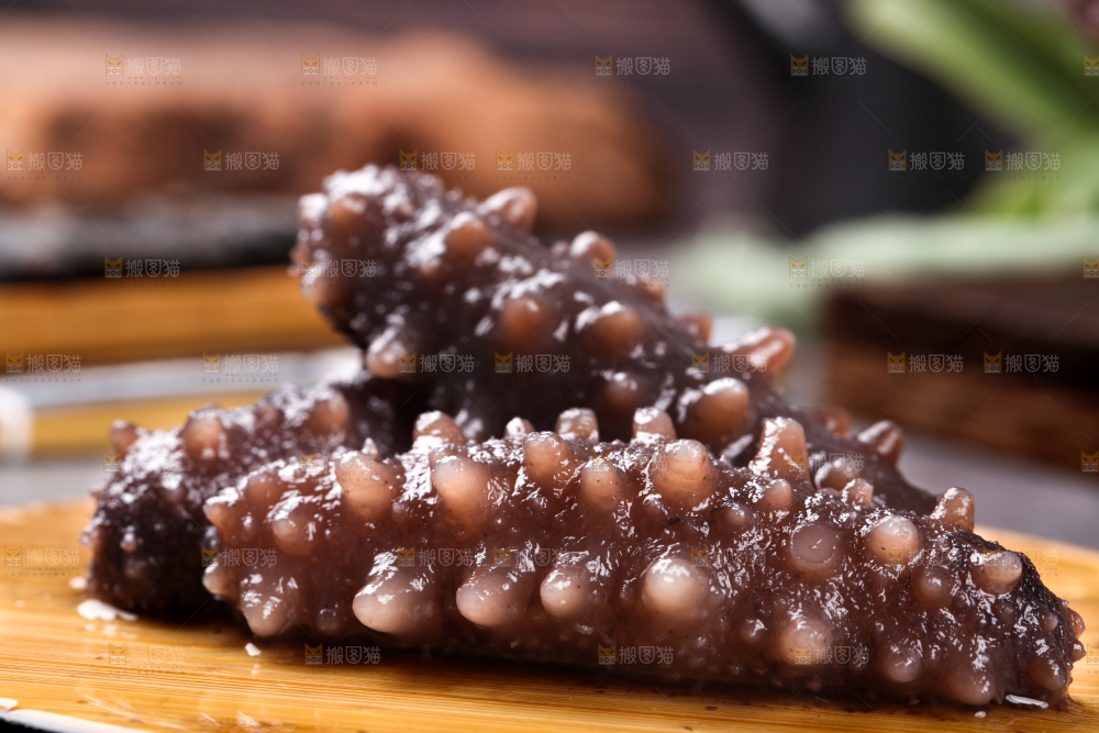 木底上的淡干海参