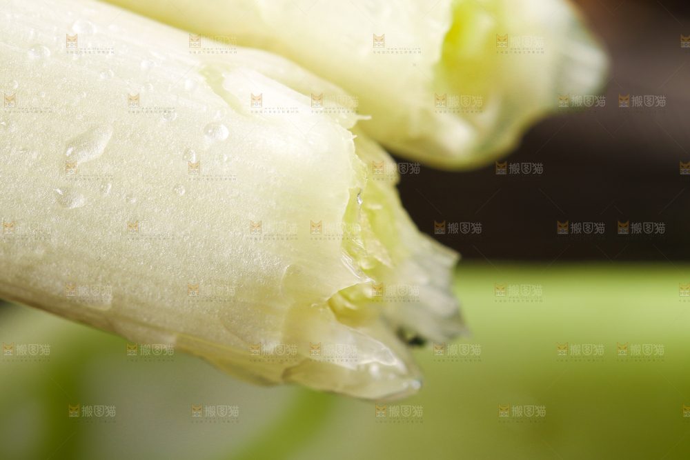 深底上的大葱